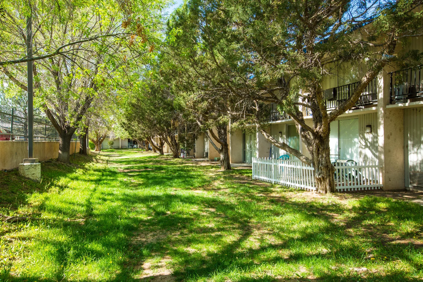 Shaded lawn and mature trees on the grounds at ABQ Encore Apartments